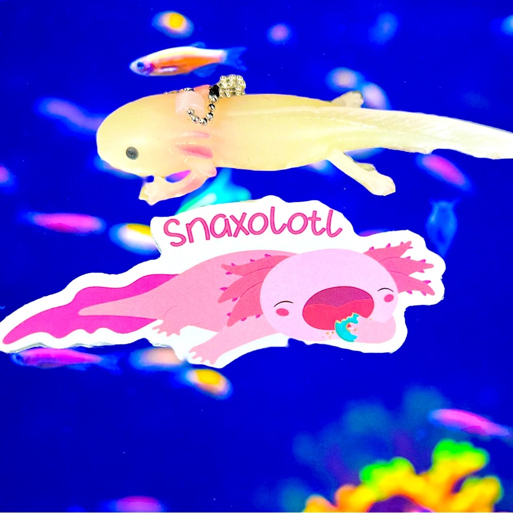 SNACKSalotl Axolotl Crazy Trending WaterProof Single Decor Accent Sticker